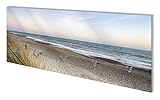 Wallario Wandgarderobe aus Glas in Größe 80 x 30 cm mit Memoboard-Funktion,...